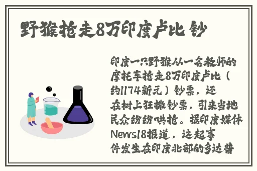 灭火宝贝HR成⼈版